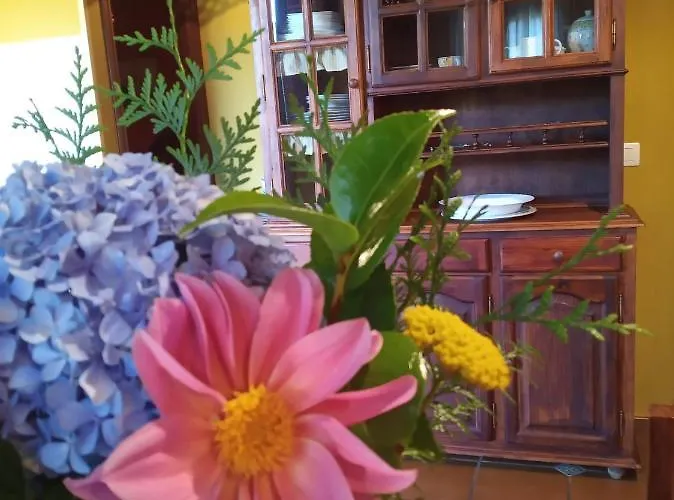 Casa Da Posta De Valmaior カントリーハウス